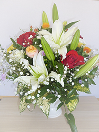 ｱﾚﾝｼﾞﾒﾝﾄ２