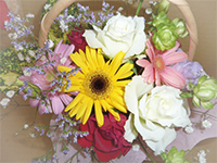 ｱﾚﾝｼﾞﾒﾝﾄ３