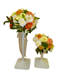 ﾌﾞﾗｲﾀﾞﾙ風景