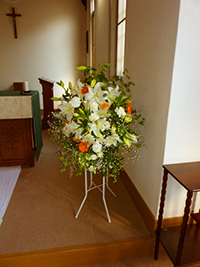 ﾌﾞﾗｲﾀﾞﾙ風景