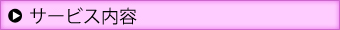 サービス内容